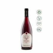 Vino rosso da tavola box Terracruda litri 5