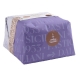 Panettone albicocca e cioccolato kg1