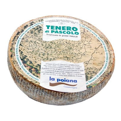 Tenero di pascolo