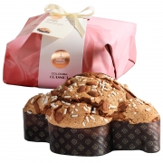 Colomba tradizionale gr500