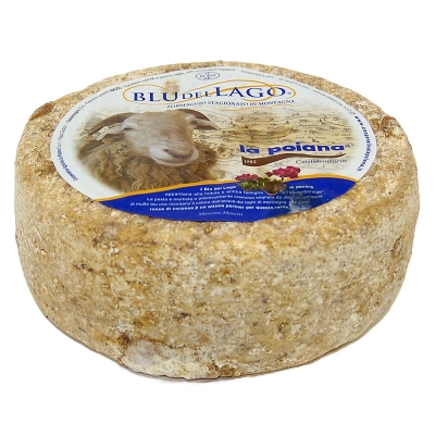Blu di pecora Kg3