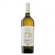 INCROCIO BRUNI 54 bianco marche IGT