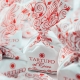 Tartufi dolci al cocco sfusi 1000gr