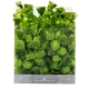 Tartufini (7gr) dolci al pistacchio sfusi 1000gr