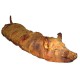Porchetta di maiale nostrana sale&pepe con testa kg25/50