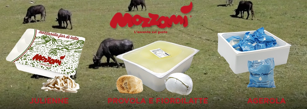 Mozzamì